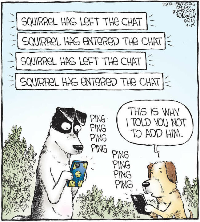 25 Hilarious ‘Speed Bump’ Comics That Prove Dogs Are Comedy Gold-Interview