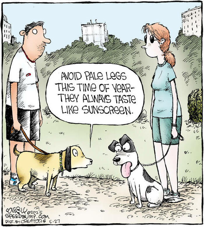 25 Hilarious ‘Speed Bump’ Comics That Prove Dogs Are Comedy Gold-Interview