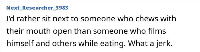 Online comment from Next_Researcher_3983 on chewing with mouth open vs filming, part of a viral debate.