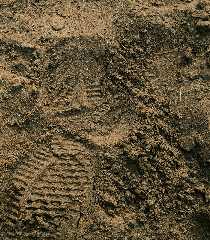Footprints in the sand near a ditch where a car crashed, hinting at an unexplained incident.