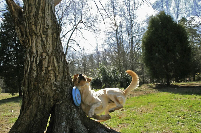 50 Perfectly Timed Animal Photos From This Online Collection That Are Almost Too Good To Be True