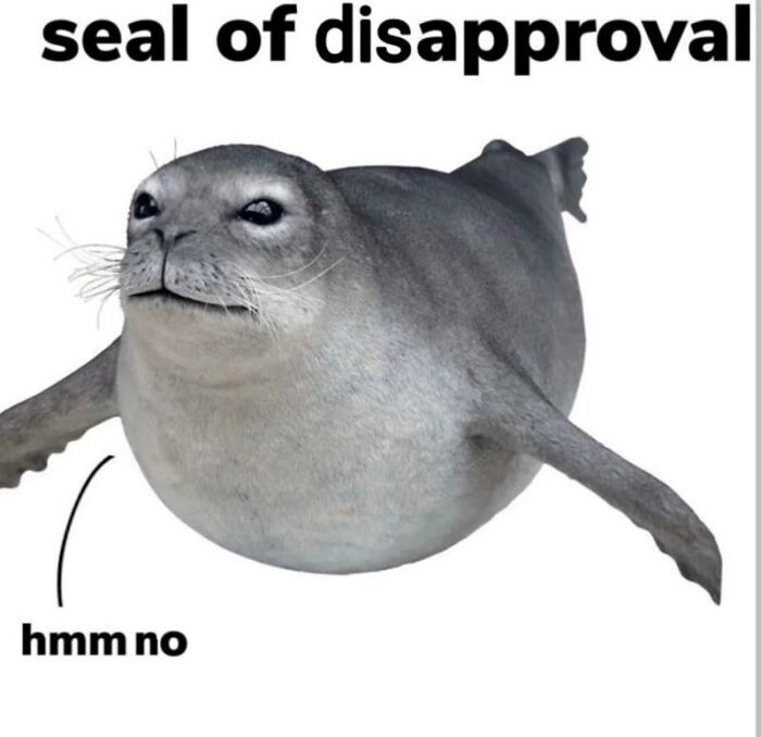 An animal meme featuring a seal looking displeased, with the text Seal of disapproval and hmm no, making your day brighter.
