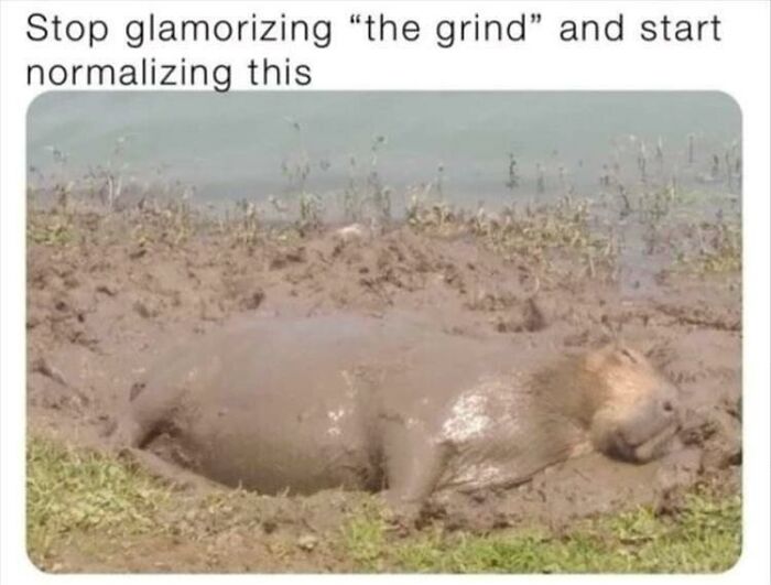 A happy capybara animal meme wallowing in mud by a body of water, embodying a relaxed mood.