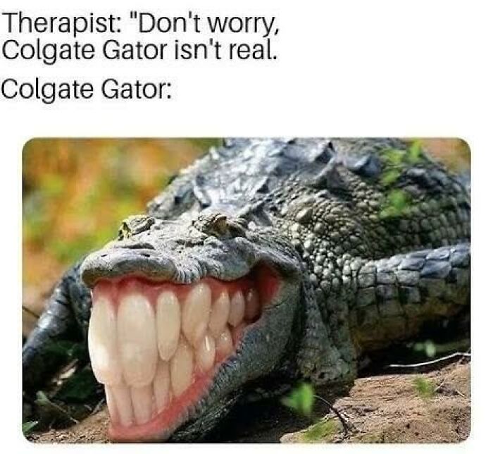 Hilarious animal meme of a 'Colgate Gator' with human teeth, designed to make your day better.
