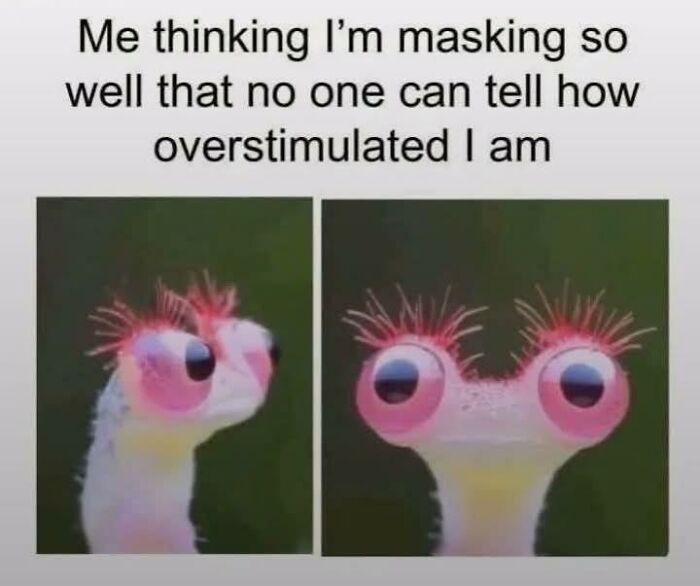 Relatable animal meme of a lizard with bulging eyes pretending to be calm, aiming to make your day brighter.