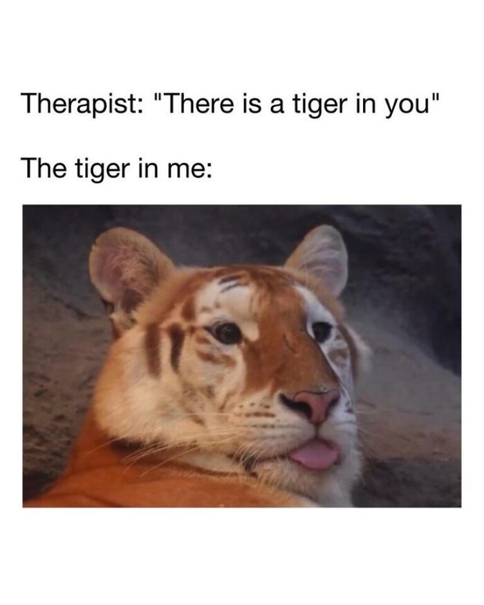 Funny animal memes: A tiger sticking its tongue out, depicting the 'tiger in me' as described by a therapist.