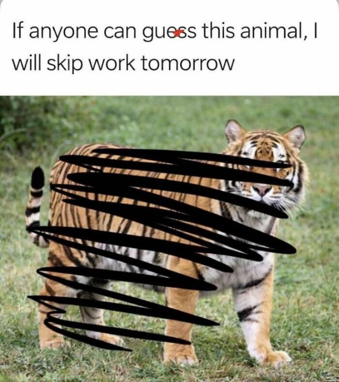 A funny animal meme of a tiger with black scribbles, making the day brighter.