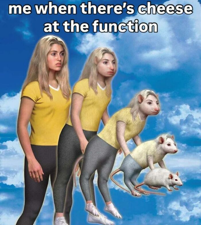 A funny animal meme illustrating a woman transforming into a rat, depicting an eagerness for cheese at a function.