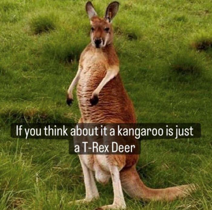Animal meme with a kangaroo in a grassy field, humorously described as a T-Rex deer.