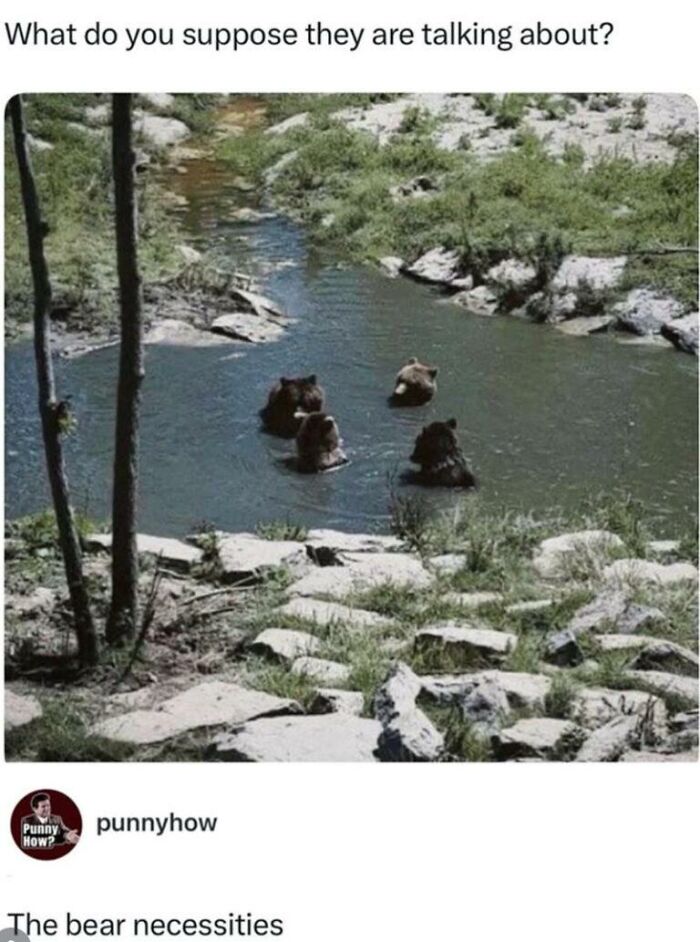 Hilarious animal memes show four bears swimming in a stream, with the caption The bear necessities for a good laugh.