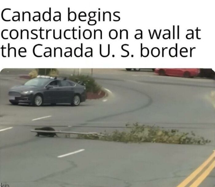 An amusing animal meme with a beaver dragging branches across a road, captioned Canada begins construction on a wall.