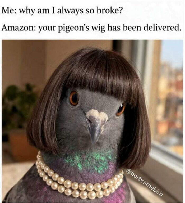 A pigeon wearing a short brown wig and a pearl necklace, an amusing animal meme.