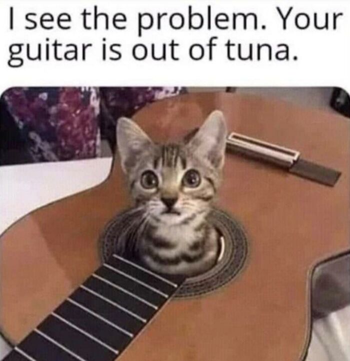 A small tabby kitten peeking out of the sound hole of an acoustic guitar, a cute animal meme.