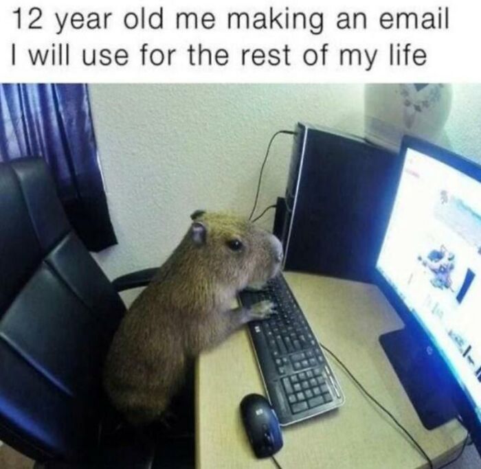 A capybara sits at a computer, diligently typing, representing a 12-year-old making an email, a great animal meme.