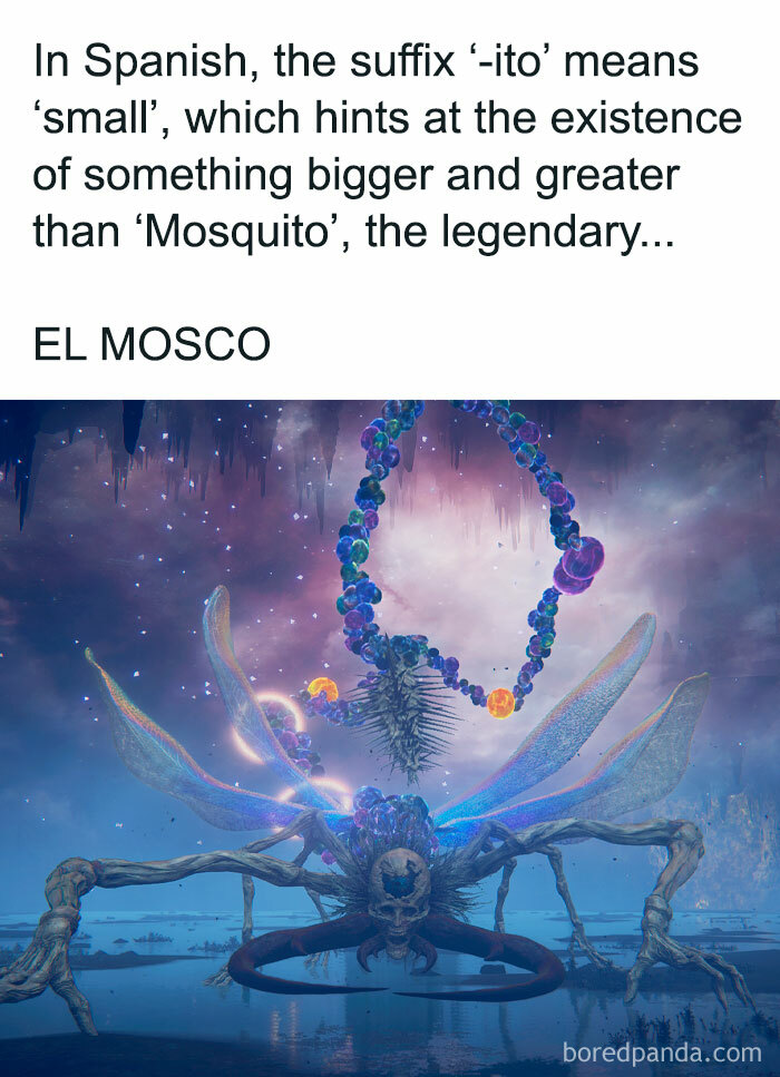 El Musco Sucker For Life