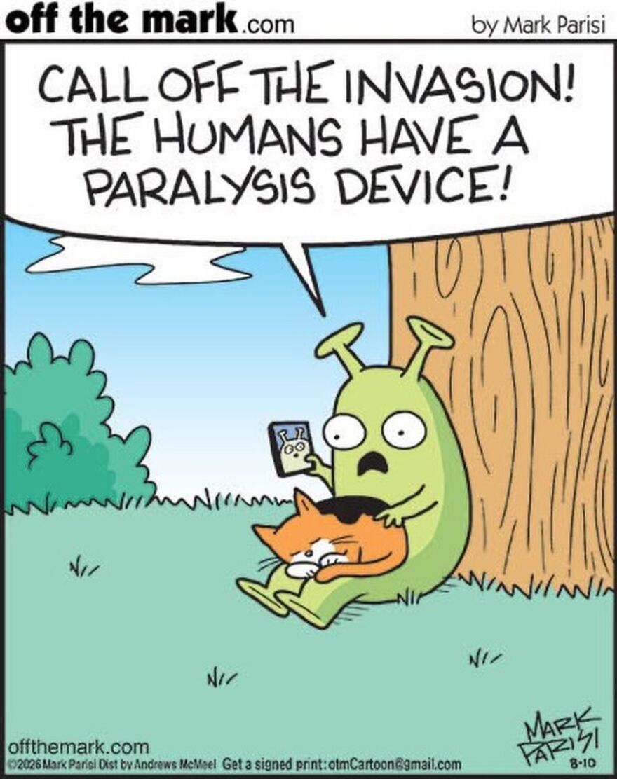 Cats Turn Everyday Chaos Into Comedy In These 36 New Cartoons By Mark Parisi