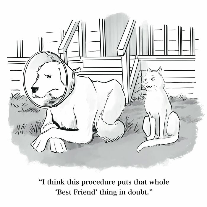 Mannequin on the Moon comic of a dog with a cone and a cat, discussing their friendship.