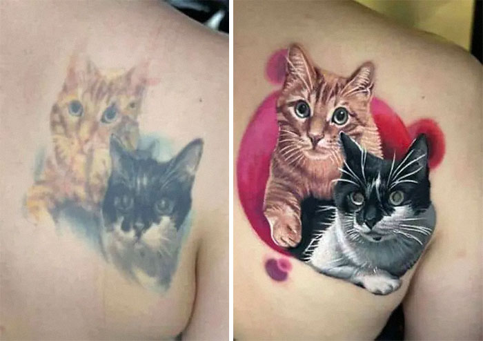 A before and after image of a faded cat tattoo regret transformed into an incredible cover-up with vibrant, realistic cats.