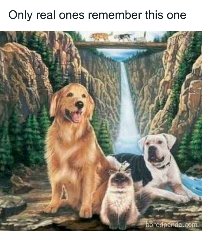 A painting of a golden retriever, a white dog, and a cat by a waterfall, a nostalgic meme for 90s kids.