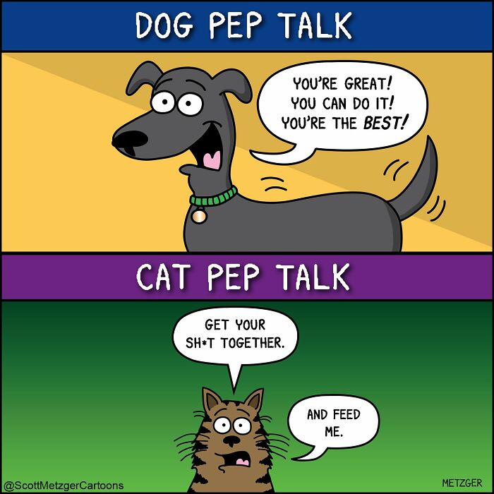 Scott Metzger comic illustrating dog pep talk versus cat pep talk, capturing the weird logic of cats and dogs.