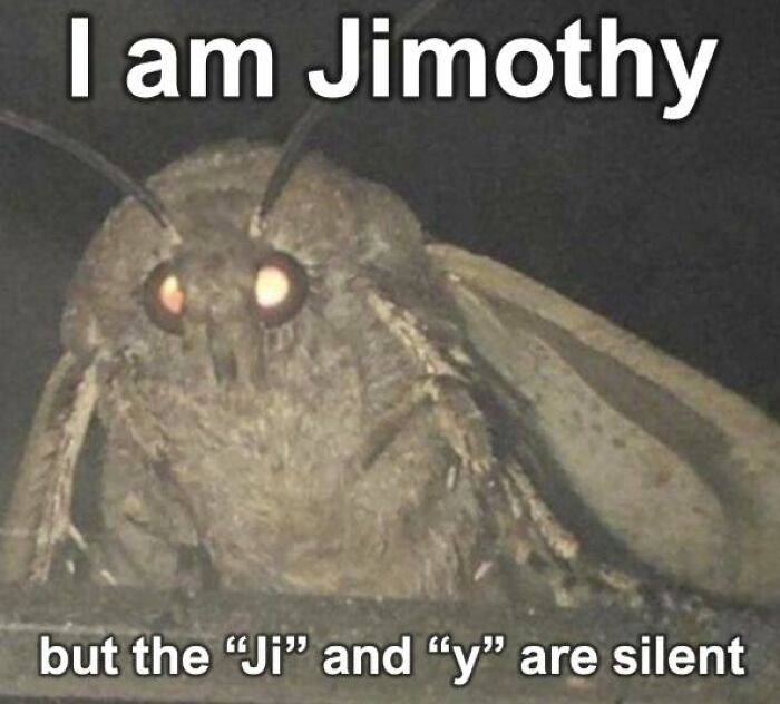 A fluffy moth with glowing eyes, an animal meme captioned I am Jimothy, but the Ji and y are silent.