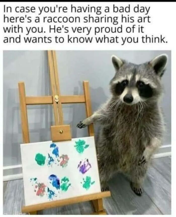A raccoon proudly displays its colorful paw print artwork on an easel, an animal meme to brighten your day.