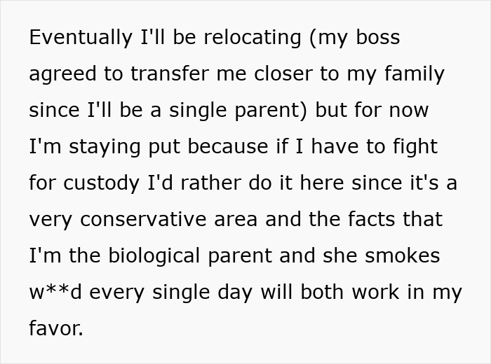 Text detailing a mom's plans to relocate as a single parent, fighting for kid's custody, and education control.
