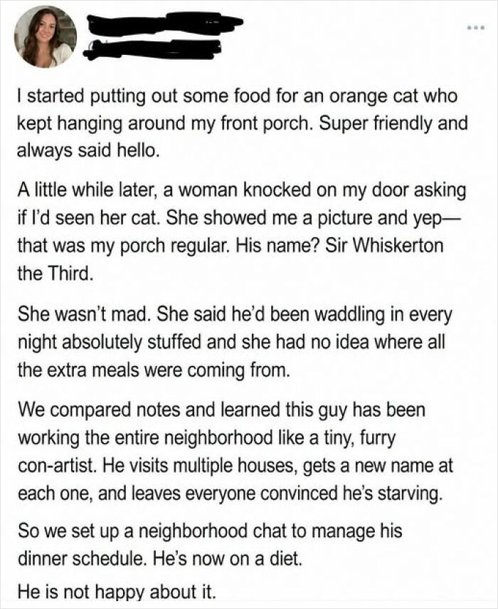 A wholesome post about a cat named Sir Whiskerton the Third who conned a neighborhood for extra meals, making hearts full.