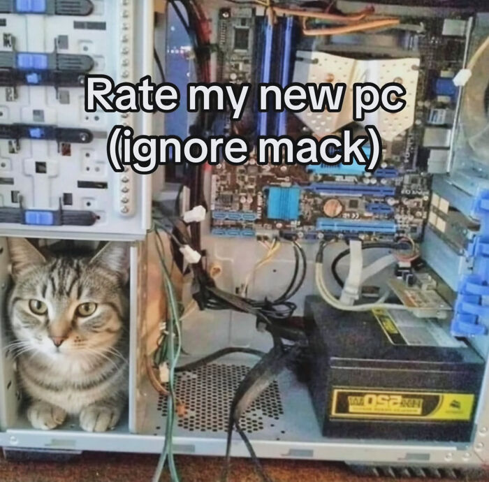 Cat memes: A tabby cat peeks out from inside a computer tower, next to various PC components.