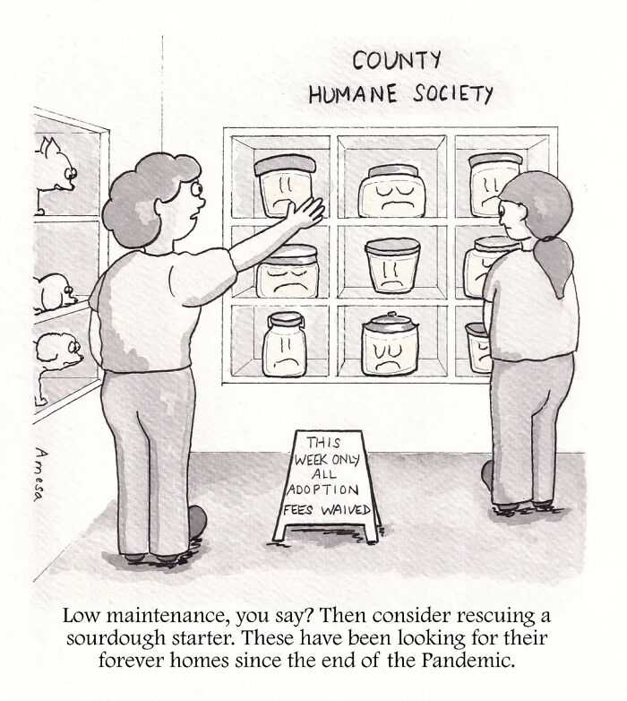 22 Clever Comics By Amesa That Turn Everyday Words Into Unexpected Jokes