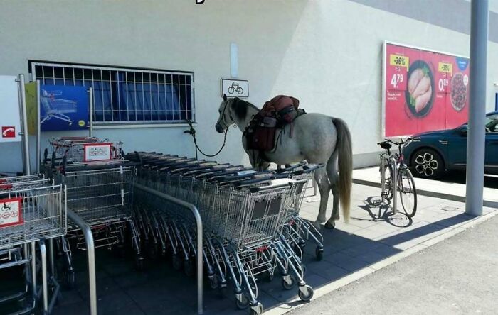 A horse tied to a shopping cart return outside a store, illustrating how people from Eastern Europe are built different.