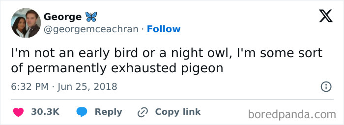 A tweet from George about being a permanently exhausted pigeon, a relatable honest post.