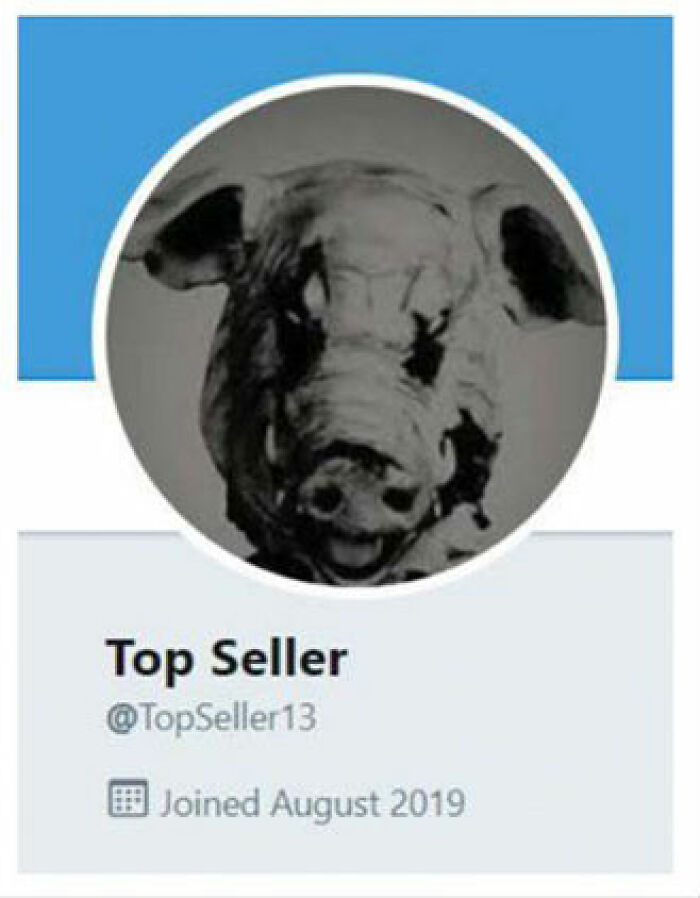 A social media profile with a pig's head as the avatar, labeled Top Seller, highlighting the eBay campaign.