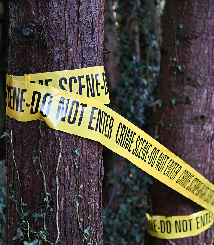 Crime scene tape around trees in the woods, part of the investigation into the car crash.