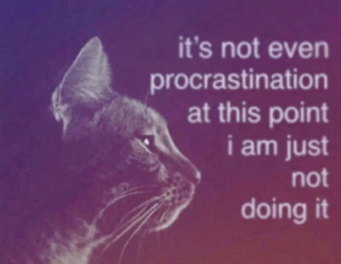 A relatable cat meme with a cat in profile against a purple background, with text about procrastination.
