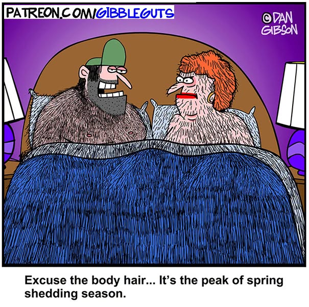 A Dan Gibson one-panel comic shows a hairy couple in bed discussing spring shedding season, proving growing older doesn't mean growing up.