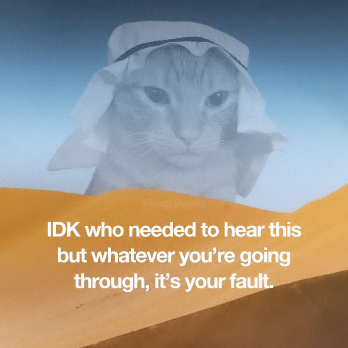 A funny cat meme featuring a cat in a traditional Arab head covering against a desert background with text.