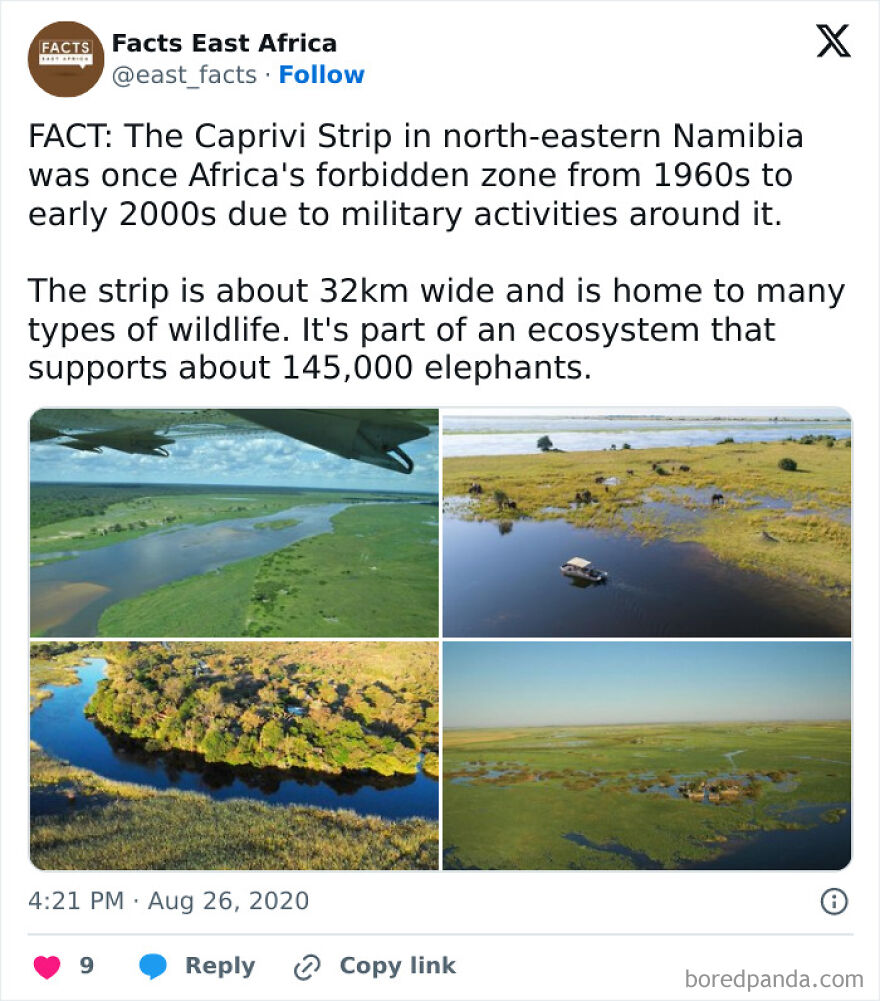 An aerial view of the Caprivi Strip, a region in Namibia, featuring vast wetlands and rivers that form natural country borders.