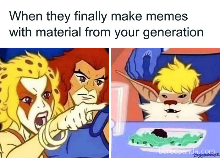A Gen X meme using ThunderCats characters in the Woman Yelling at a Cat format, referencing memes from their generation.
