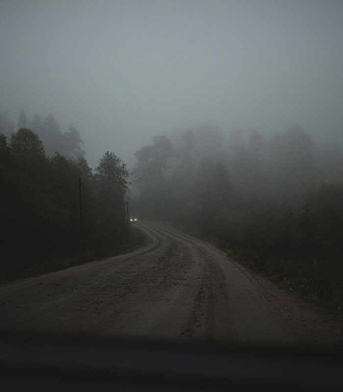 A foggy, winding road in the woods, where Brandon Swanson's car crashed into a ditch.
