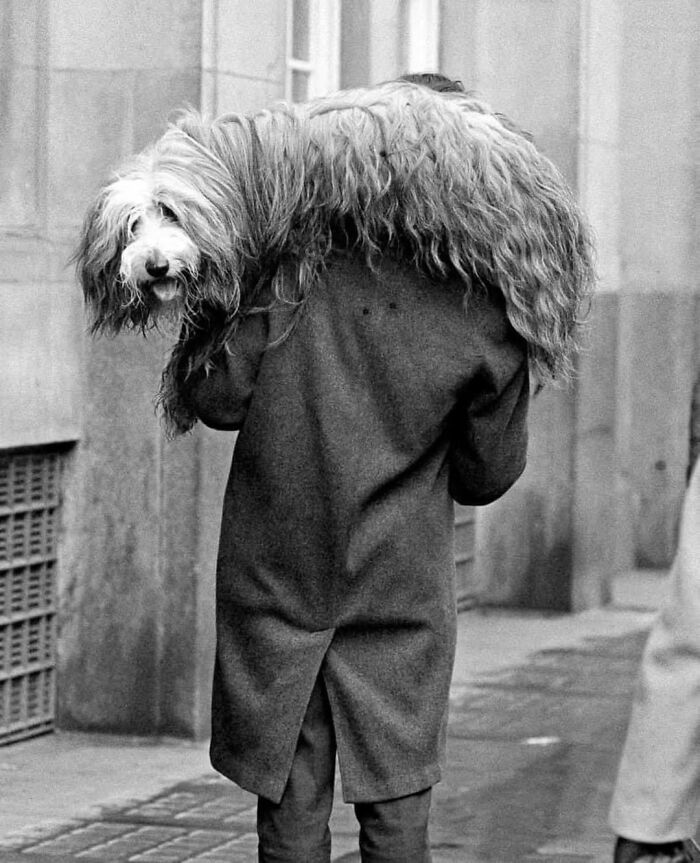 40 Striking Street Photos To Get You Ready For The Pure Street Photography Awards 2027