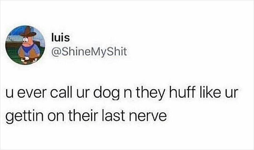 A funny animal meme text post from Twitter about a dog huffing when called, showing their annoyance.
