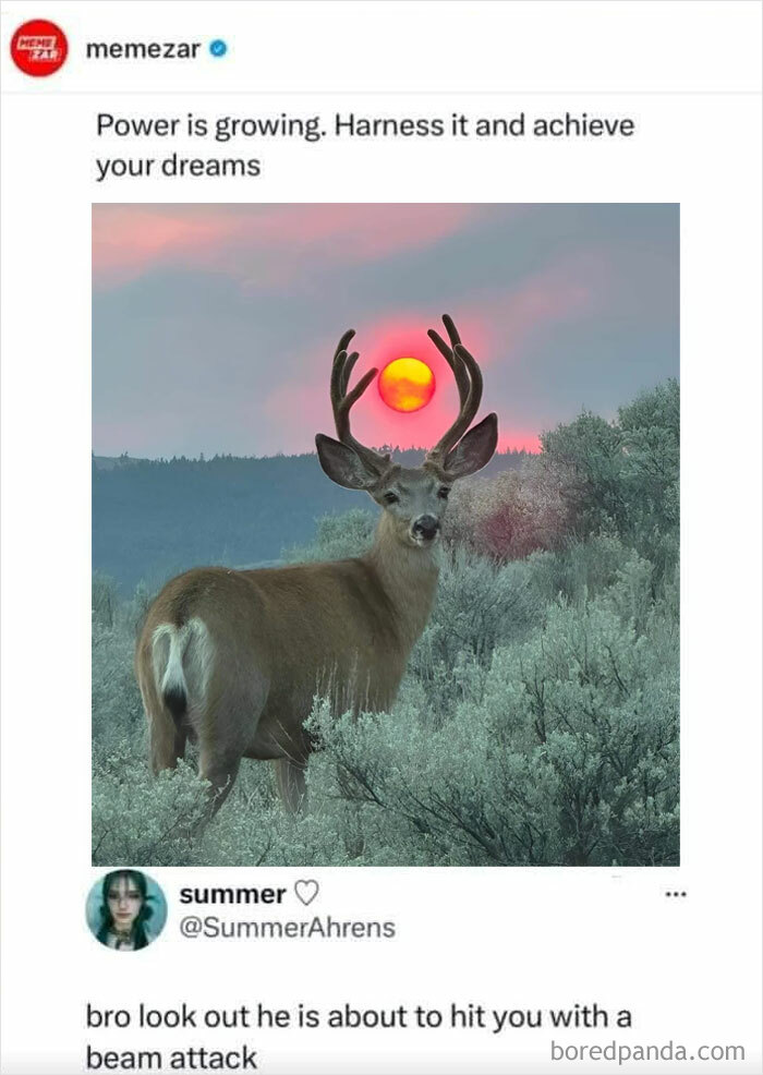 Deer,the Evergrowing Energy Sustainer