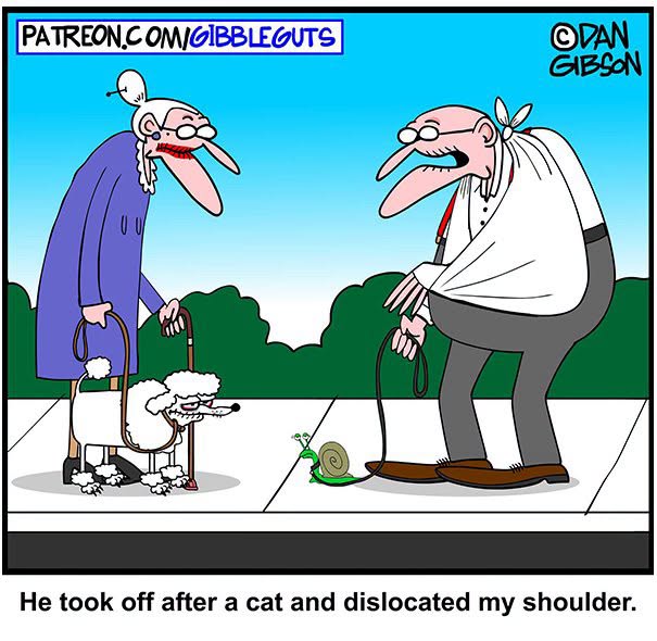 Hilarious one-panel comic by Dan Gibson showing an old man whose shoulder was dislocated by a small snail, proving growing older doesn't mean growing up.
