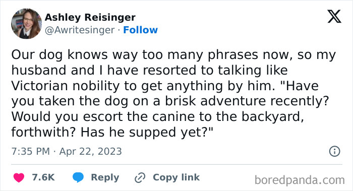 An animal meme about a dog knowing too many phrases, a hilarious moment to make your day better.