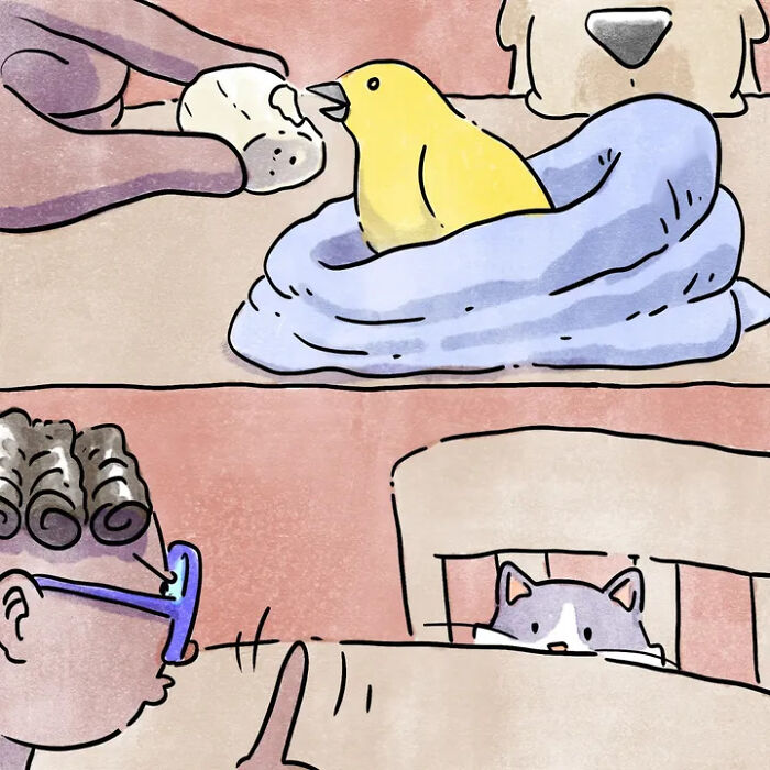 Heartwarming comics: a small bird is nestled in a blanket, while a cat peeks from under covers in bed. Heartwarming comics: a small bird is nestled in a blanket, while a cat peeks from under covers in bed.