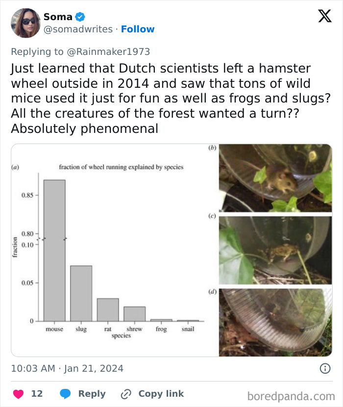 A science meme with a chart and photos of animals on a hamster wheel.