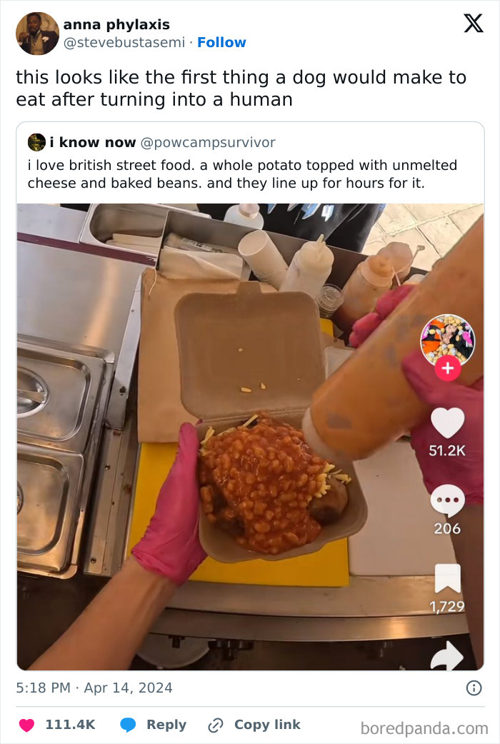 A verbal knockout is delivered in a tweet comparing a street food dish to something a dog would make.