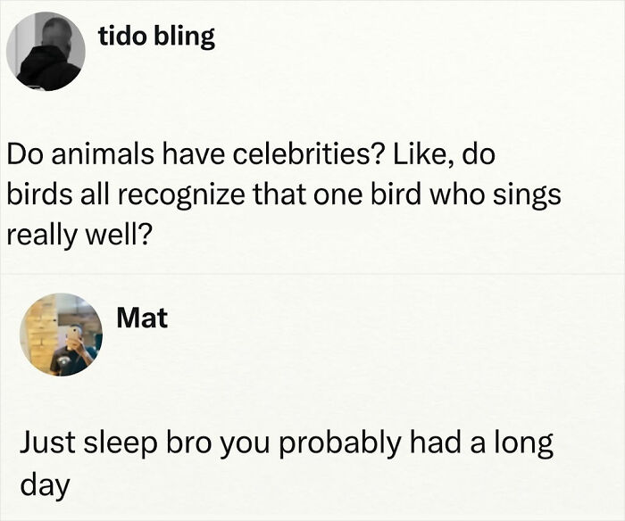 A social media exchange featuring random jokes about animals having celebrities, prompting a funny reply to sleep.