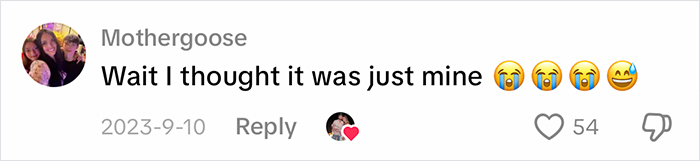 A comment on the viral trend, expressing surprise at the shared experiences with blue-collar husbands. A comment on the viral trend, expressing surprise at the shared experiences with blue-collar husbands.